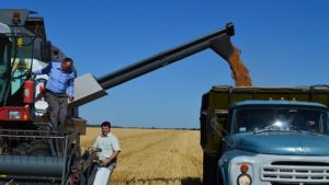 Хлеборобы Энгельсского муниципального района перешагнули 200-тысячный рубеж в намолоте зерна
