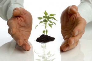 Предпринимателям Левобережья рассказали об условиях финансовой поддержки малого бизнеса