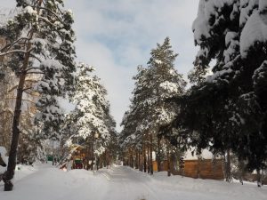 Скоростные «Ватрушки» и северные олени: какие зимние новинки приготовил саратовцам комплекс«Авангард"