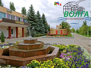 На тепличном комбинате «Волга» запущена линия по производству соков
