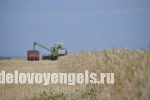 В Саратовской области собрано 3,5 млн тонн зерна урожая-2020