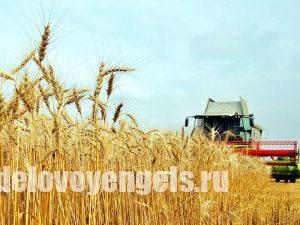 В Саратовской области собрано 4,5 млн. тонн зерна