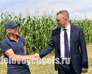 В Саратовской области собрано уже 3 млн тонн зерна